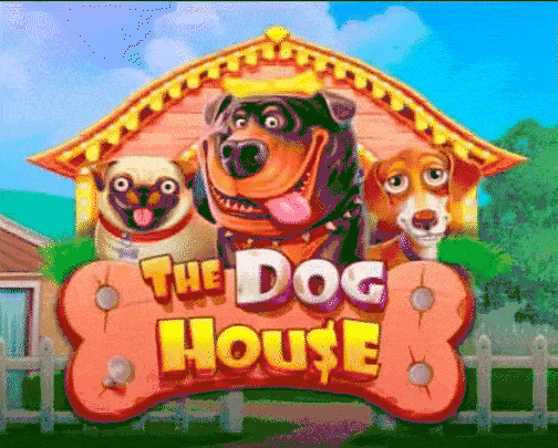 play The Dog House in westace casino